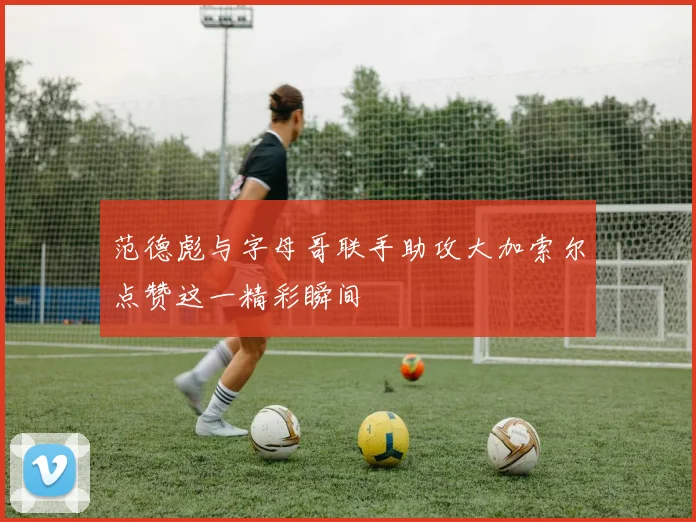 范德彪与字母哥联手助攻大加索尔点赞这一精彩瞬间