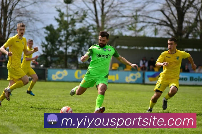 易游体育平台生态图